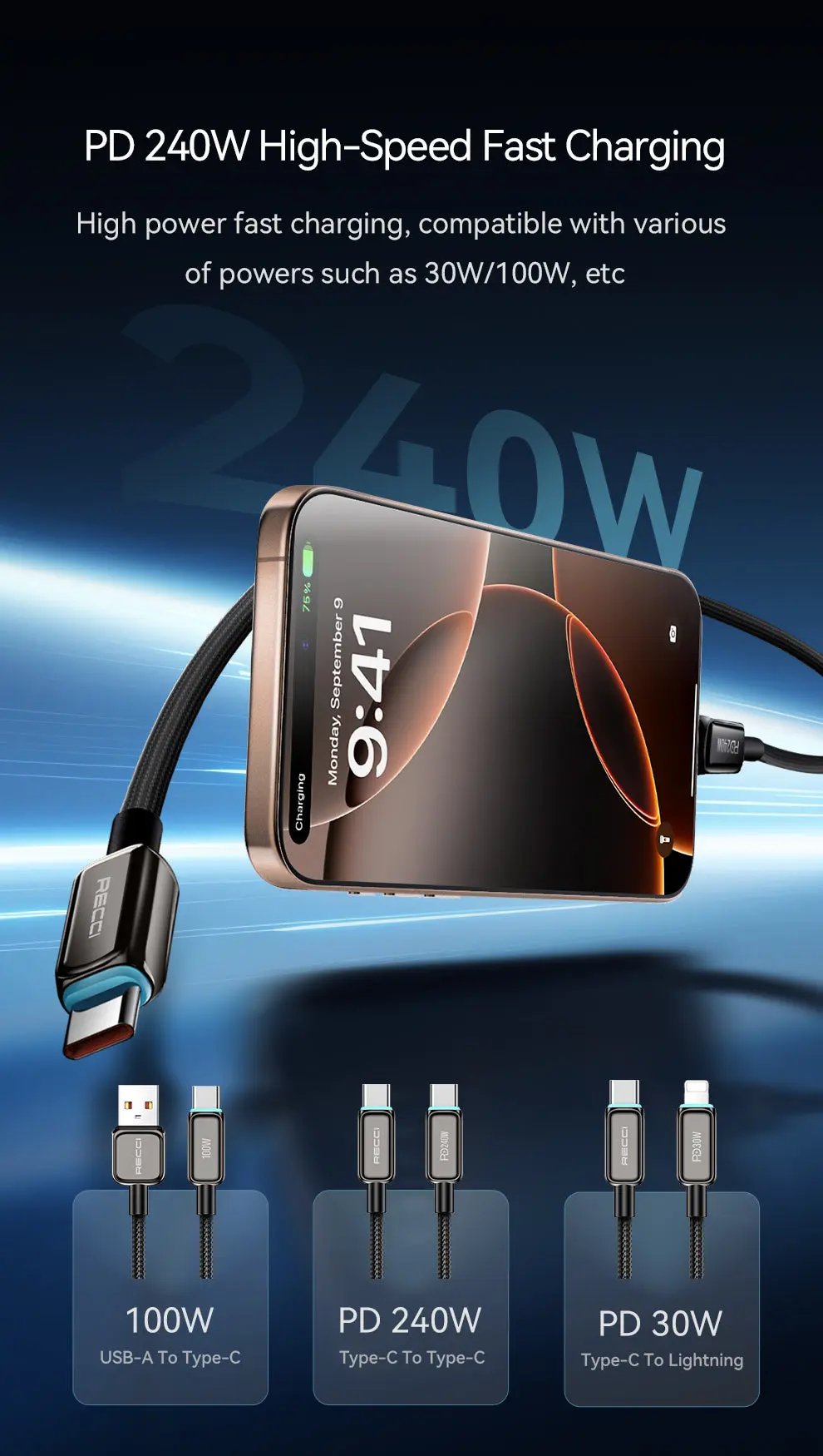 Recci USB C to C Cable PD 240W RS42CC Tech House Singapore