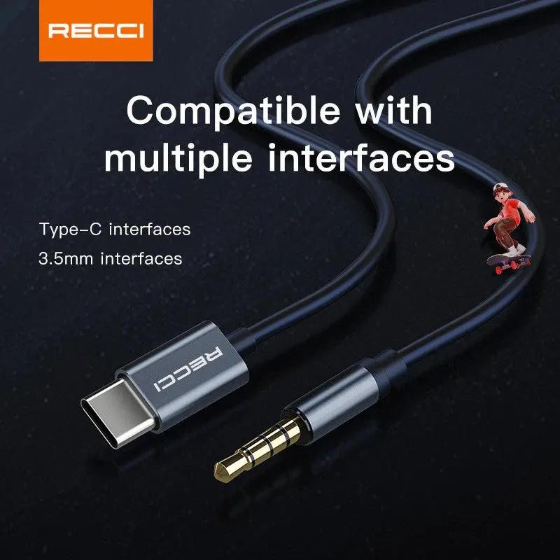 Recci USB C Metal Wired Earphone Grey REP-L38 Tech House Singapore