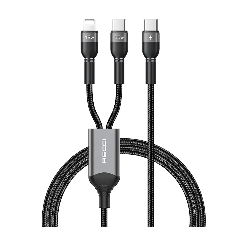 Recci 2-in-1 USB C to USB C and Lightning Cable RTC-T16 Tech House Singapore