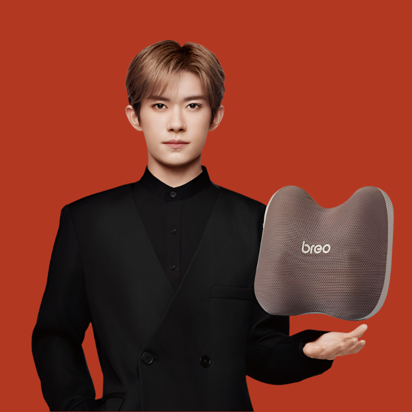 Breo Back 2 Massage Pillow Breo