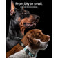 Spigen AirTag 2 / AirTag Case Tough Armor IP Waterproof Pet Collar Cover Spigen Singapore Singapore