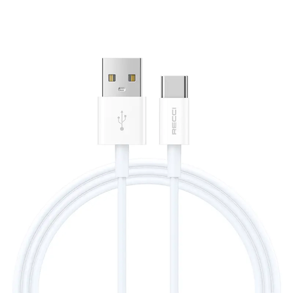Recci USB A to C Cable 1M PD 20W Fast Charging 3A Cable RS06C Tech House Singapore