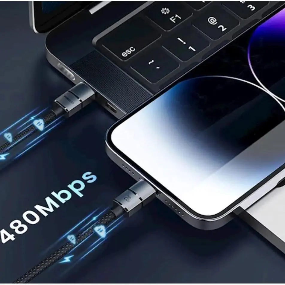 Recci Type-C to 8-Pin Cable 2M Fast Charging Cable Black RS12CL Tech House Singapore